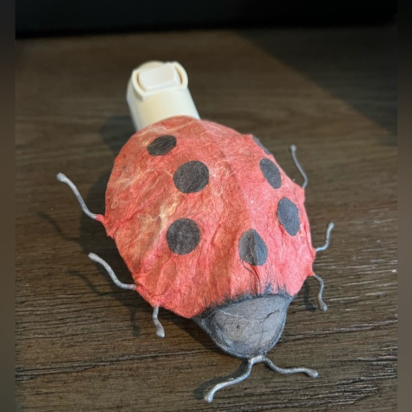 Vintage Other - Rustic Whimsical paper-mâché ladybug  🐞 Nightlight